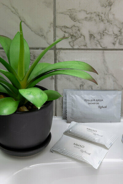 Гостиница Арена Москва