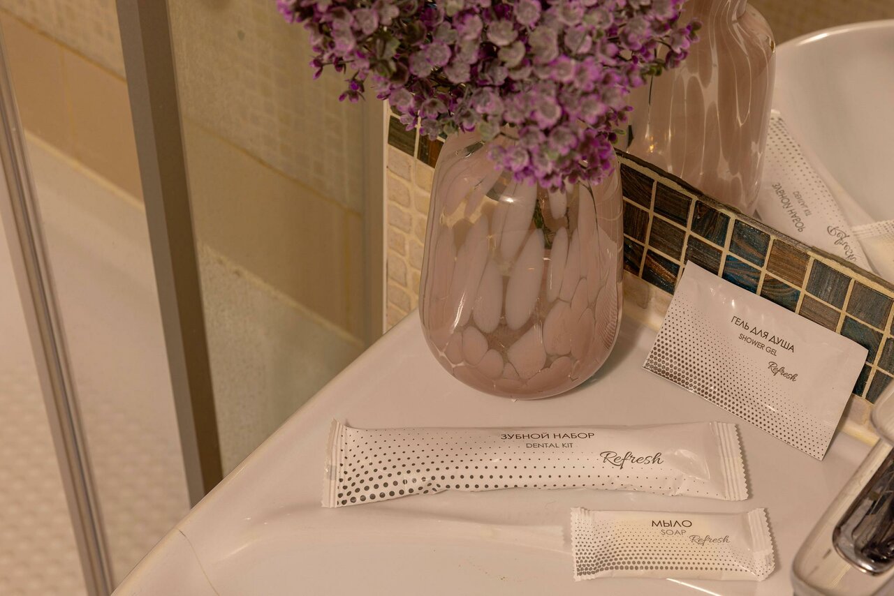 Гостиница Арена Москва