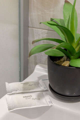 Гостиница Арена Москва Супериор 2-комнатный (двуспальная кровать и диван)-14