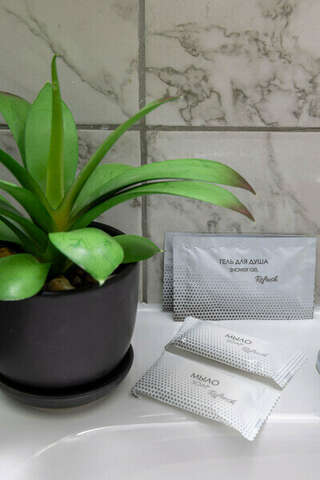 Гостиница Арена Москва Двухместный номер с 2 отдельными кроватями-8