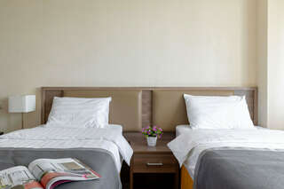 Гостиница Арена Москва Люкс-2