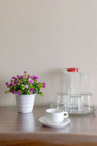 Гостиница Арена Москва Супериор семейный TWIN 2 комн. для 4-х гостей без TV-16