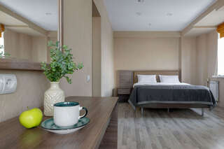 Гостиница Арена Москва Двухместный номер с широкой кроватью категории «Люкс»-1