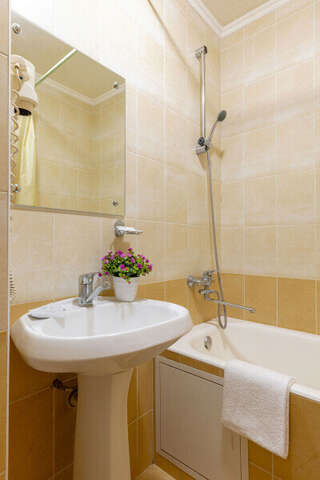 Гостиница Арена Москва Двухместный номер с широкой кроватью категории "Стандарт"-13