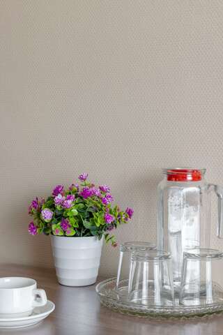 Гостиница Арена Москва Номер комфорт-6