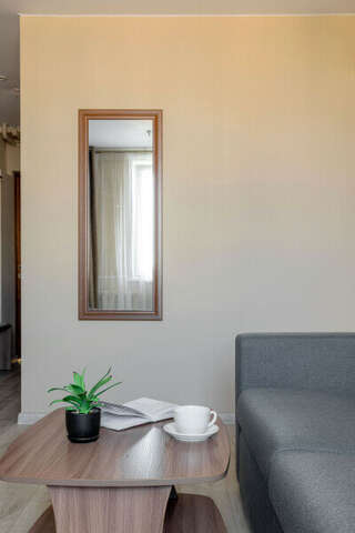 Гостиница Арена Москва Супериор 2-комнатный (двуспальная кровать и диван)-2