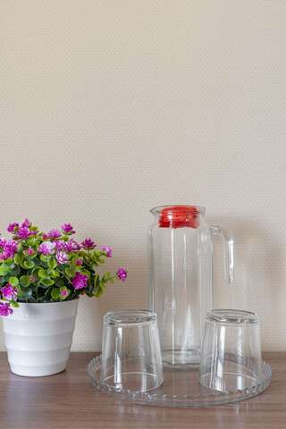 Гостиница Арена Москва Номер комфорт-12