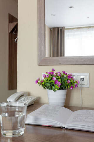 Гостиница Арена Москва Размещение в Супер.с кухней 3 гостей-16