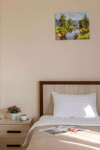 Гостиница Арена Москва Трехместный номер с широкой кроватью и дополнительным местом категории «Делюкс»-3