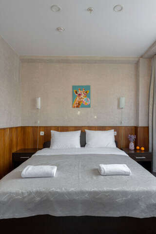 Гостиница Арена Москва Двухкомнатный номер с широкой кроватью категории "Стандарт"-9