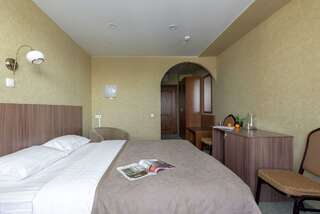 Гостиница Арена Москва Номер стандарт с 1 двуспальной кроватью-6