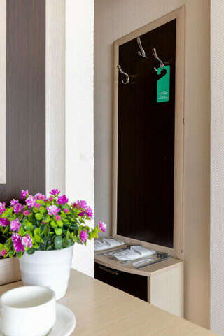 Гостиница Арена Москва Большой двухместный номер с 1 кроватью-13