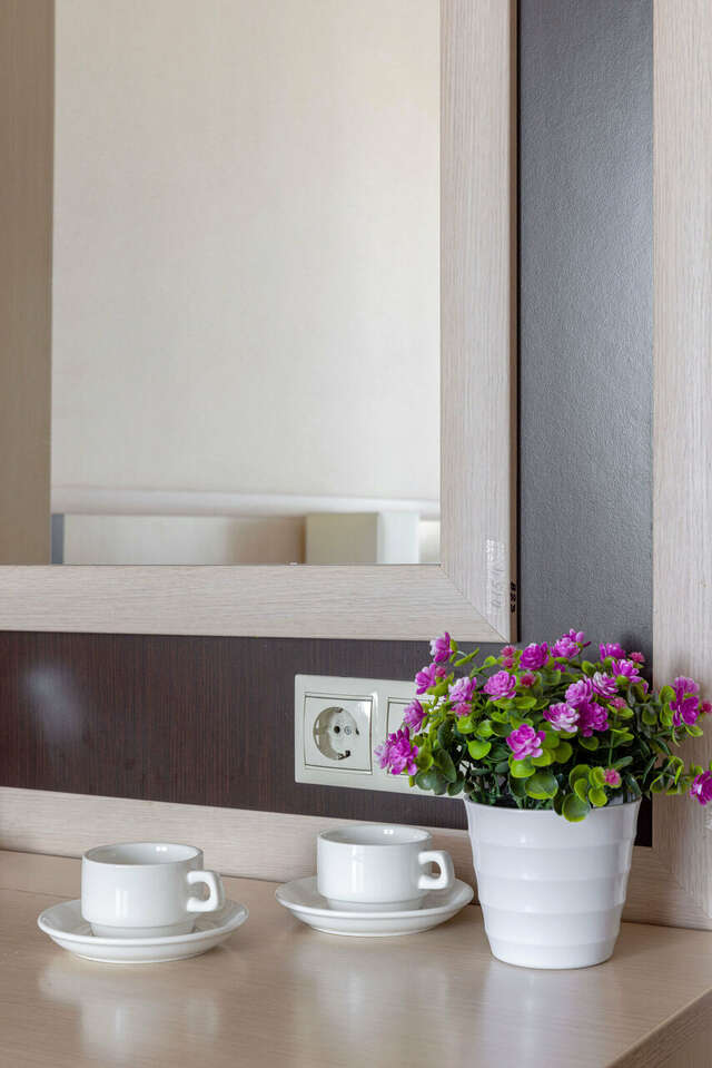 Гостиница Арена Москва-132